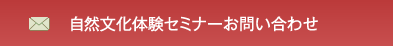 メールでのお問合せ