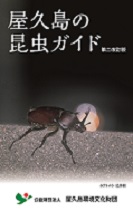 屋久島の昆虫ガイド 
