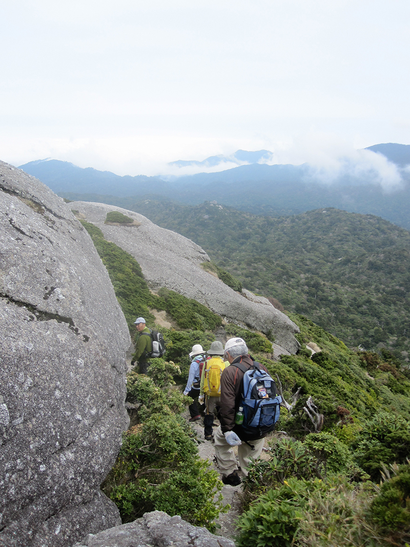 屋久島で体験？日本列島縦断