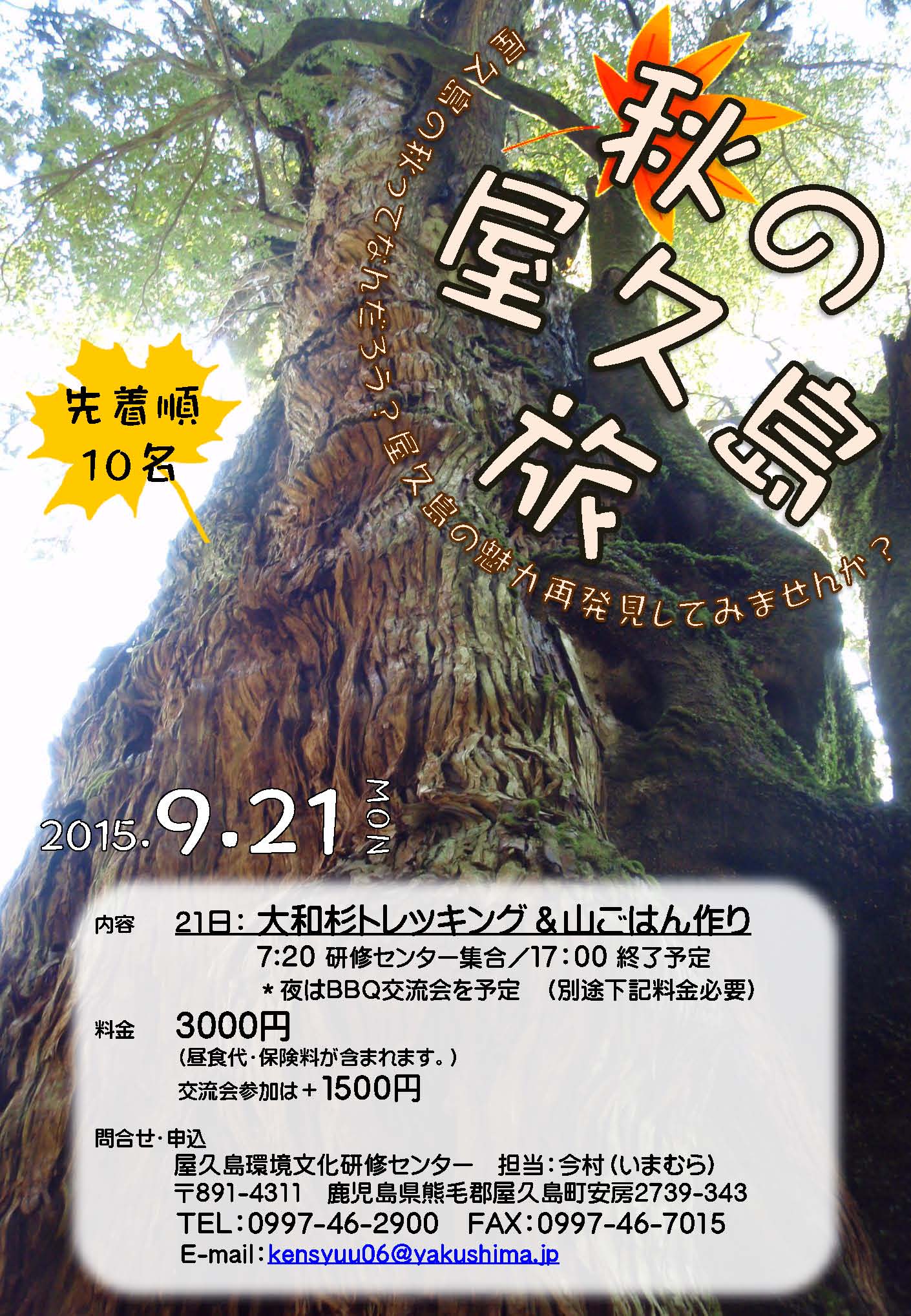 【島内者限定】秋の屋久島旅「大和杉トレッキング」