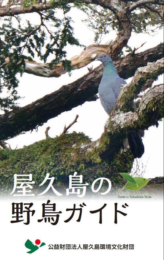 「屋久島の野鳥ガイド」改訂しました！