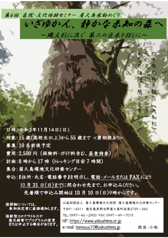 いざゆかん、静かな未知の森へ〜縄文杉に次ぐ 第二の巨木を探しに〜