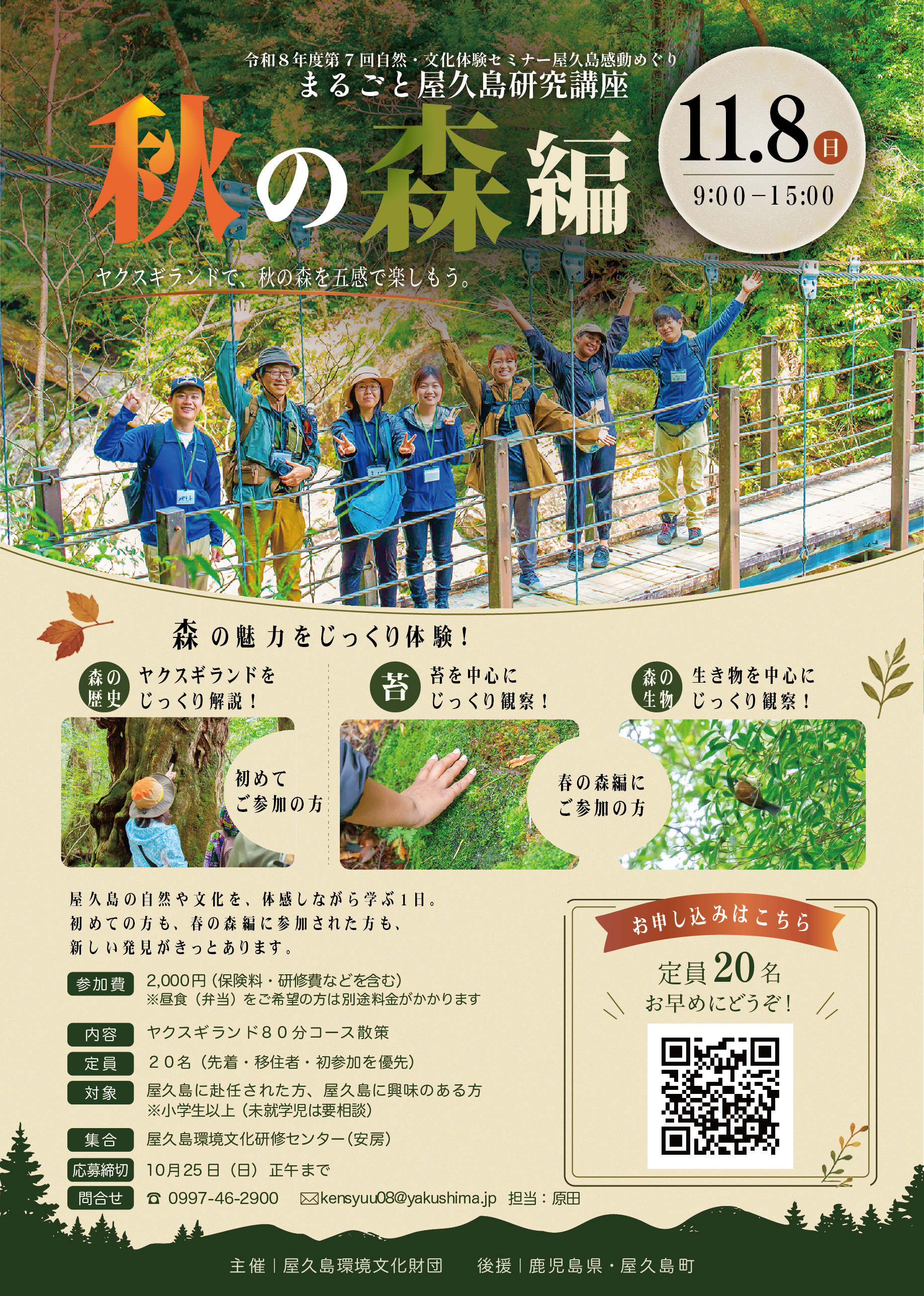 秋の森編