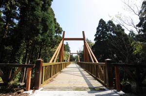 屋久島環境文化研修センター　7000年の森